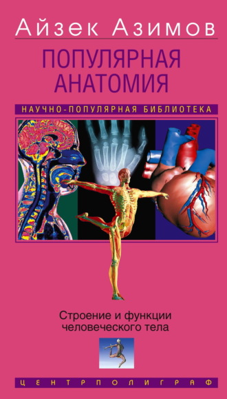Популярная анатомия. Строение и функции человеческого тела. 
