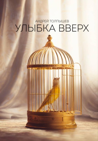 Андрей Толпышев. Улыбка вверх