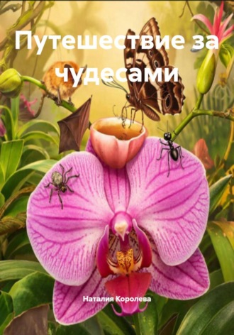 Путешествие за чудесами. 