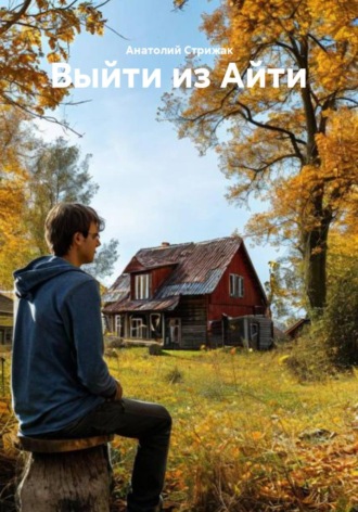 Анатолий Стрижак. Выйти из Айти