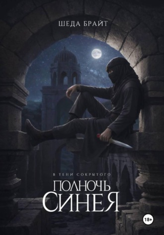 Шеда Брайт. В тени Сокрытого. Полночь Синея