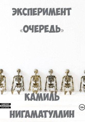Эксперимент «Очередь». Камиль Нигаматуллин