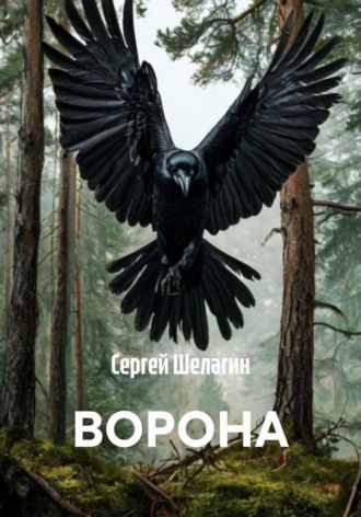 Сергей Шелагин. ВОРОНА