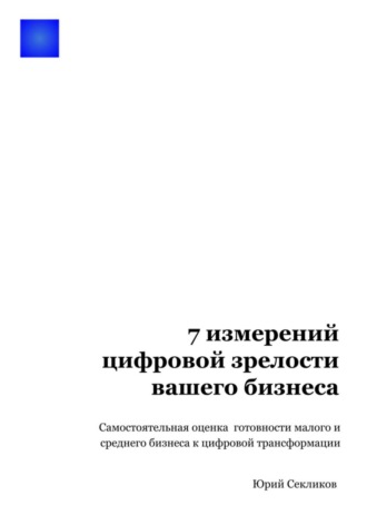 Юрий Секликов. 7 измерений цифровой зрелости вашего бизнеса