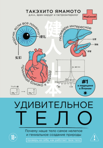 Такэхито Ямамото. Удивительное тело. Почему наше тело самое нелепое и гениальное создание природы