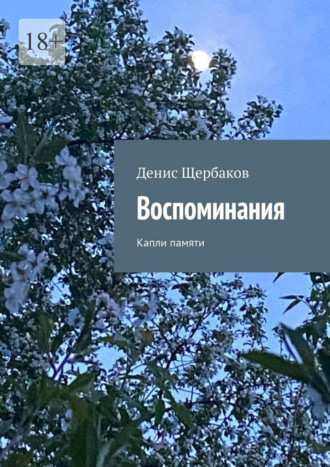 Воспоминания. Капли памяти. Денис Щербаков