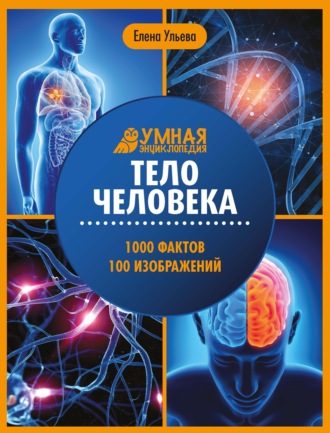 Елена Ульева. Тело человека. Энциклопедия