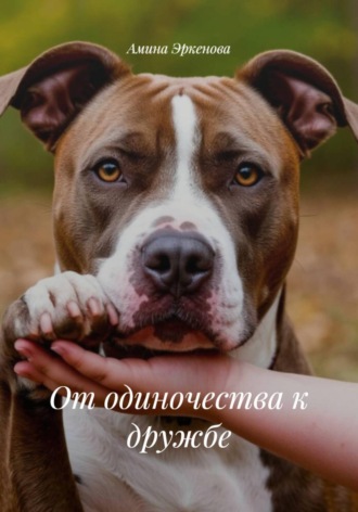 Амина Эркенова. От одиночества к дружбе