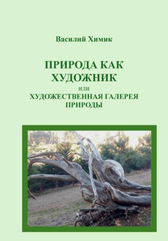 Василий Химик. Природа как художник, или Художественная галерея природы