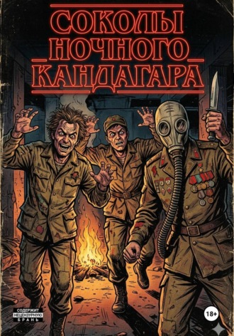  Div_Null. Соколы ночного Кандагара