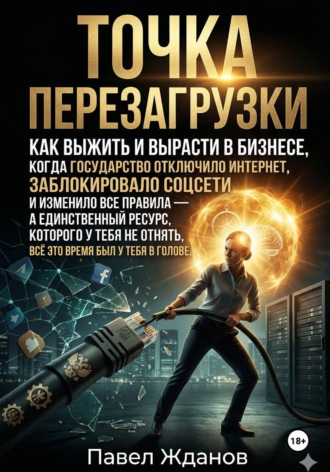 Точка перезагрузки. Как выжить и вырасти в бизнесе, когда изменились все правила.. 