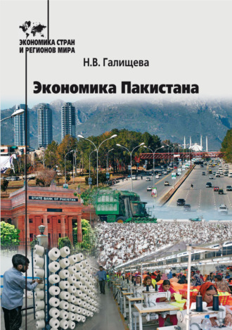 Наталья Валерьевна Галищева. Экономика Пакистана