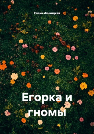 Елена Ильницкая. Егорка и гномы