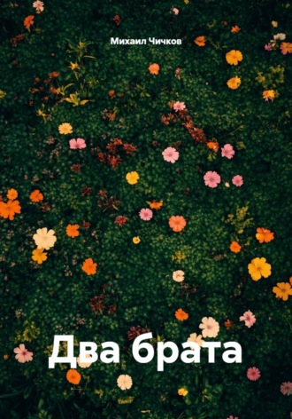 Михаил Чичков. Два брата