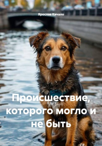 Ярослав Кичало. Происшествие, которого могло и не быть
