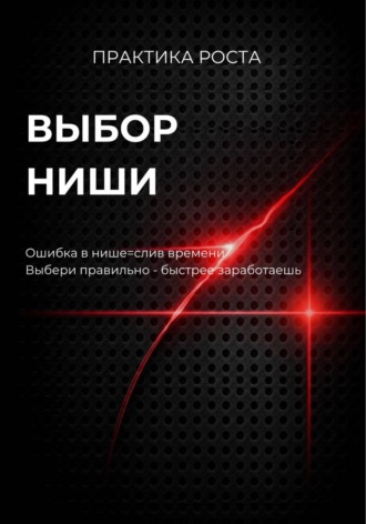 Светлана Каменских. Выбор ниши