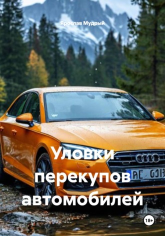 Ярослав Мудрый. Уловки перекупов автомобилей