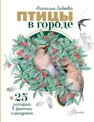 Наталья Габеева. Птицы в городе. 25 историй в фактах и рисунках