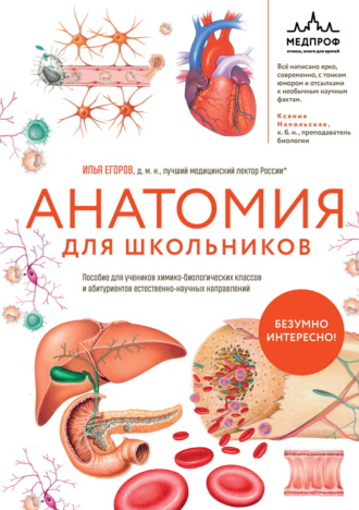 Илья Егоров. Анатомия для школьников. Пособие для учеников химико-биологических классов и абитуриентов естественно-научных направлений