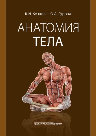О. А. Гурова. Анатомия тела