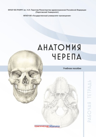 Коллектив авторов. Анатомия черепа. Рабочая тетрадь