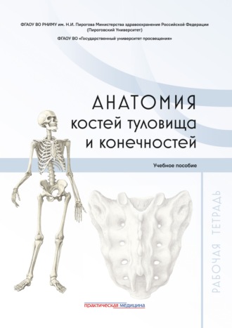 Коллектив авторов. Анатомия костей туловища и конечностей. Рабочая тетрадь