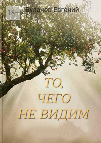 Евгений Серафимович Буланов. То, чего не видим