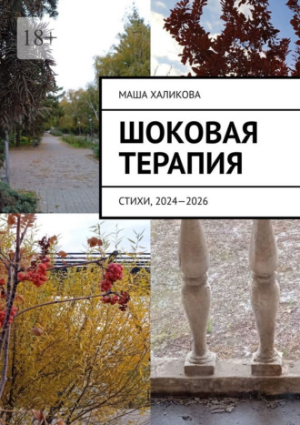 Маша Халикова. Шоковая терапия. Стихи, 2024—2026