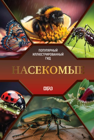 Насекомые. Иллюстрированный гид. 