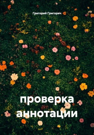 проверка аннотации. 