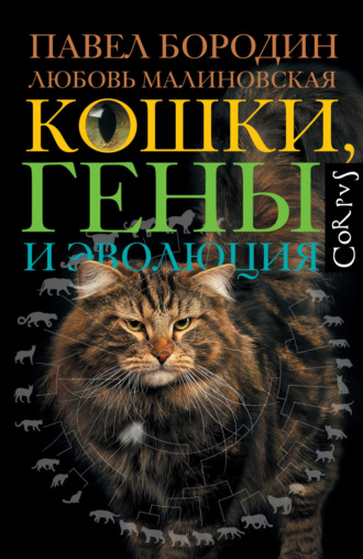 П. М. Бородин. Кошки, гены и эволюция