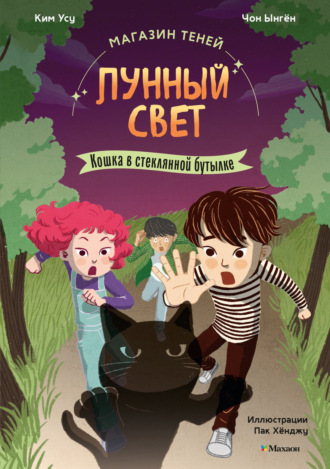 Магазин теней «Лунный свет». Книга 2. Кошка в стеклянной бутылке. 