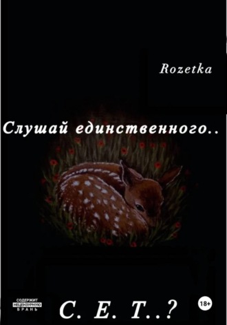 Розетка Розетка. Слушай единственного... С.Е.Т?