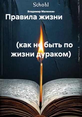 Владимир Юрьевич Малянкин. Правила жизни (как не быть по жизни дураком)