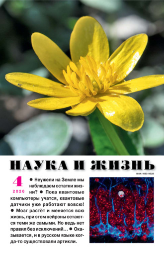 Наука и жизнь №04/2026. 