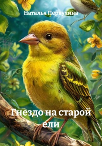 Гнездо на старой ели. 