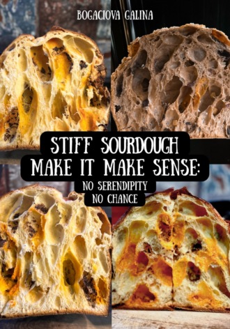 Галина Богачёва. Stiff Sourdough Make it Make Sense: No Serendipity, No Chance