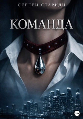 Сергей Стариди. Команда