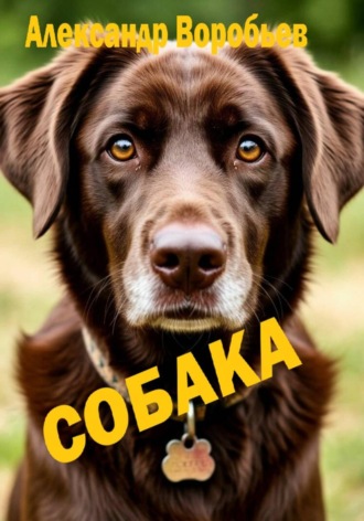 Александр Воробьев. Собака