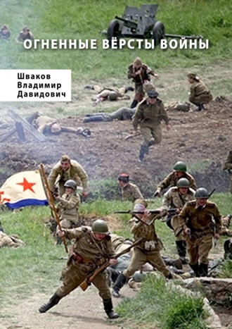 Владимир Шваков. Огненные вёрсты войны