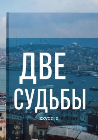 Две судьбы. Дамир Балаев