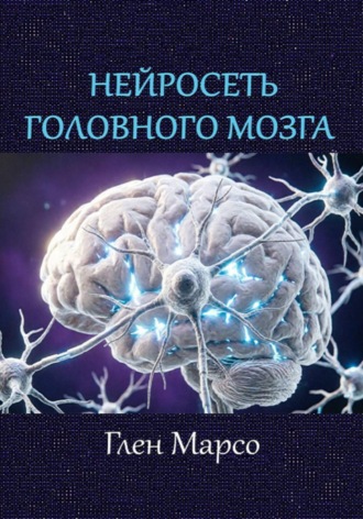 Нейросеть головного мозга. 
