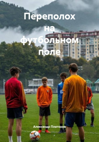 Переполох на футбольном поле. 