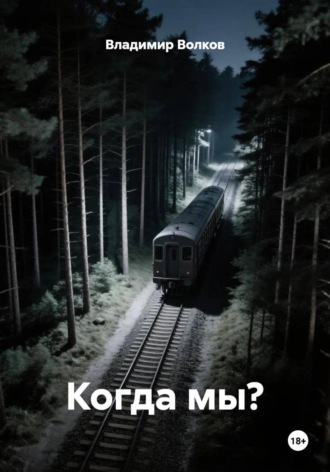 Когда мы?. Владимир Владимирович Волков