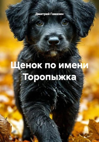 Дмитрий Гамазин. Щенок по имени Торопыжка