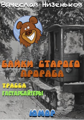 Вячеслав Низеньков. Байки старого прораба...