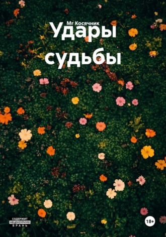 Удары судьбы. Mr Косячник