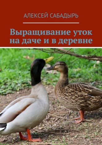 Алексей Сабадырь. Выращивание уток на даче и в деревне