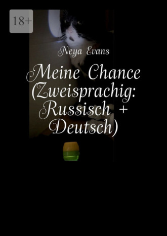 Neya Evans. Meine Chance (Zweisprachig: Deutsch + Russisch). Oder Das lustigste Buch darüber, wie man das Glück nicht verpasst
