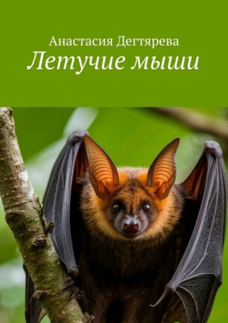 Анастасия Дегтярева. Летучие мыши